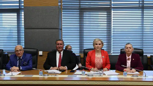 CHP’li Nimet Özdemir’den komisyonda sert çıkış: “Suçlu hayvanlar değil, ihmaldir”