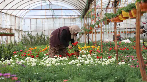 Muğla’da Üretici Kadınlar ve Çiftçi Kadın Meclisi İçin İlk Adım Ortaca’da Atıldı