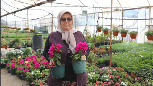 Muğla’da Alım Garantili Çiçek Üretimi Büyüyor: 28 Milyon Çiçekle Kadın Emeğine Destek