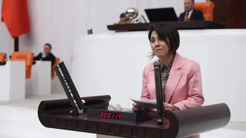 CHP’li Aylin Yaman’dan Özel Sağlık Tesisi Eleştirisi