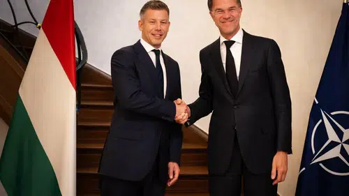 Macaristan Başbakanı Magyar, NATO Genel Sekreteri Rutte ile görüştü: “Güvenilir ortak olacağız”