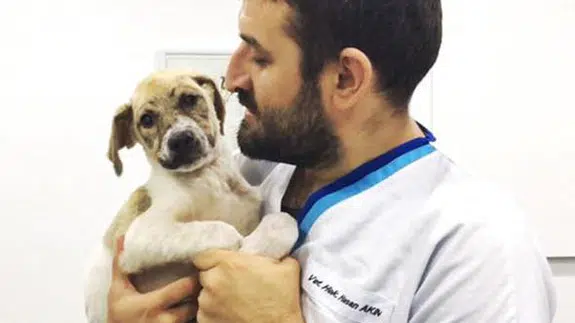 Çocuklar ölüme terk etmişti! Son hali inanılmaz