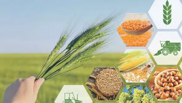 Kasım 2025 Tarım Ürünleri Üretici Fiyat Endeksi'nde düşüş ve yıllık artış kaydedildi