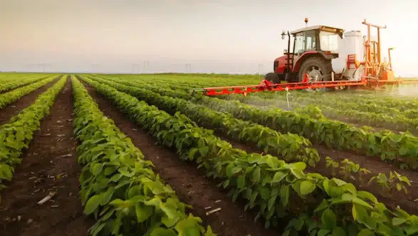 Tarım Ürünleri Üretici Fiyat Endeksi Şubat'ta yüzde 40,10 arttı