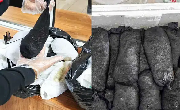 Kayseri Havalimanı'nda Şaşırtan Kaçakçılık Girişimi! 25 Bin Canlı Sülük Ele Geçirildi