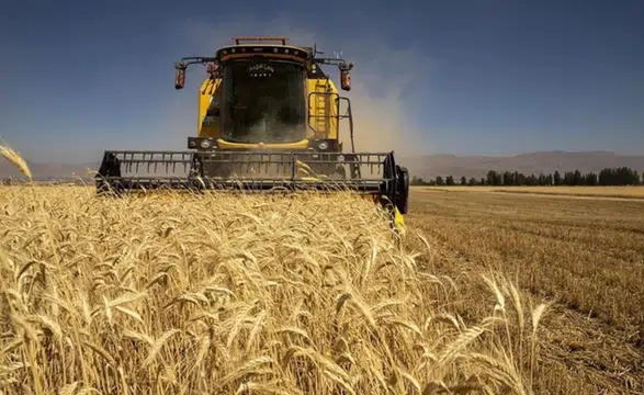 Tarım-GFE şubatta yükseldi: Tarımsal girdi fiyatlarında yıllık artış yüzde 31,55 oldu