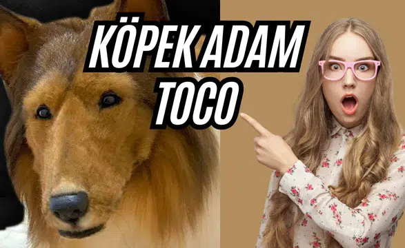 Toco köpek adam gerçek mi? Sosyal medyayı karıştıran görüntülerin aslı ortaya çıktı
