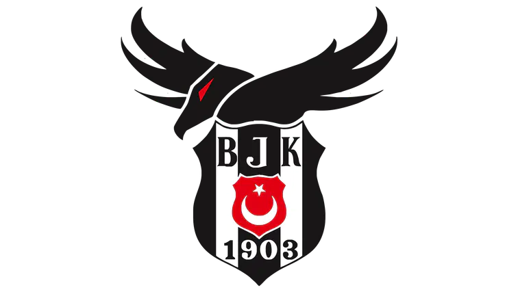 Beşiktaş Avrupa'da Fırtına Gibi Esti! Hoffenheim'ı 3-2 Mağlup Ederek İkinci Galibiyetini Aldı