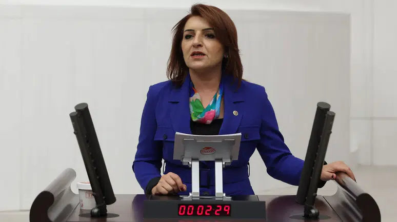 CHP’li Gülcan Kış’tan Afet Bakanlığı teklifi: “Türkiye afetlere hazırlıksız yakalanıyor”