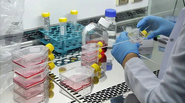 Türkiye’nin ilk özgün ilaç adayı RS-0139’da kritik eşik aşıldı: Faz 1 başarıyla tamamlandı