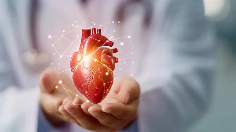 Kalp Sağlığı İçin Nelere Dikkat Etmeliyiz? Kalp Hastalıkları Belirtileri Nelerdir? Kalp Nedir?