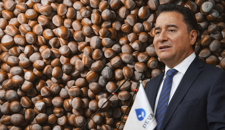 Ali Babacan'dan fındık üreticilerine destek: "20 milyar dolara karşı 2,5 milyar dolar"