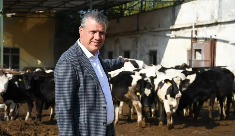 Hayvancılıkta Kriz: İktidarın İthalat Planına YENİ Parti'den Sert Tepki Geldi