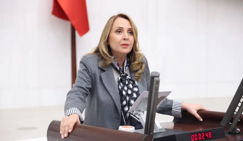 CHP'li Semra Dinçer'den Emeklilere Enerji Desteği Teklifi: Kış Gelmeden Destek Şart!