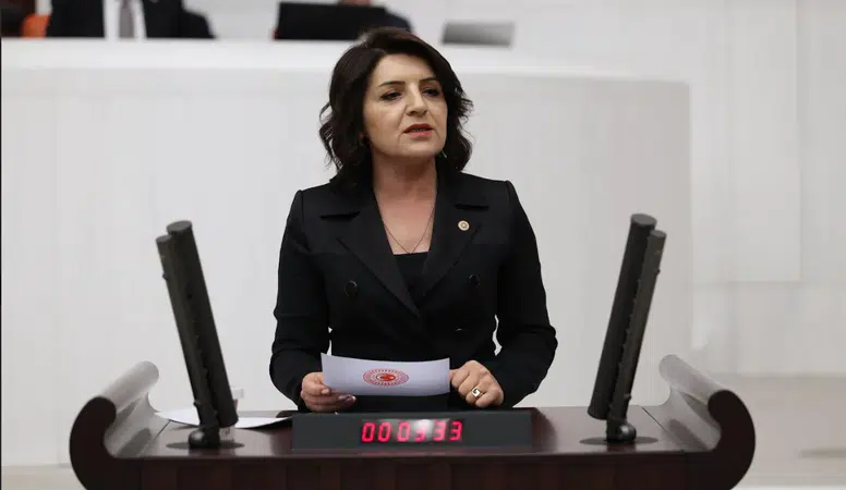 CHP'li Gülcan Kış’tan TBMM’de dikkat çeken çıkış: “Ev kadınlarının emeği hâlâ yok sayılıyor”