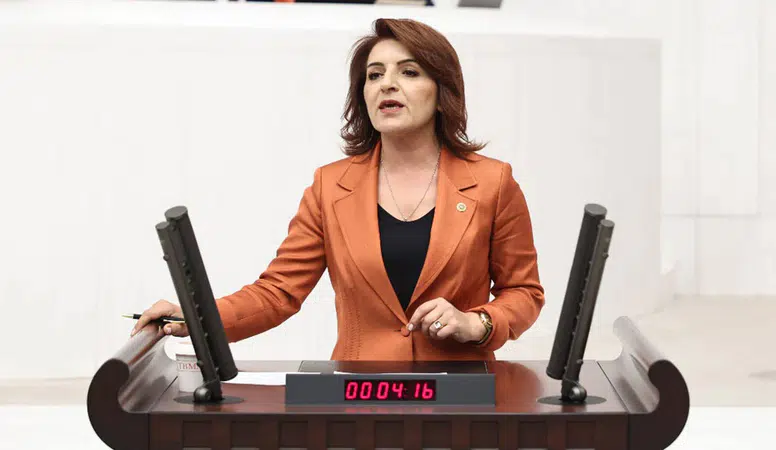 CHP'li Gülcan Kış’tan bütçe tepkisi: “İhmal zinciri Saray’ın bütçe tercihlerinde başlıyor”