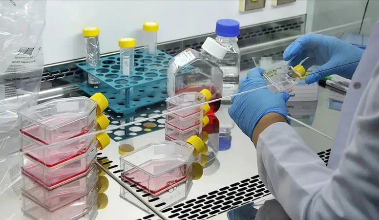 Türkiye’nin ilk özgün ilaç adayı RS-0139’da kritik eşik aşıldı: Faz 1 başarıyla tamamlandı