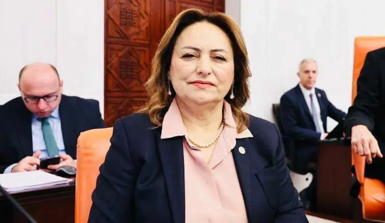 CHP'li Şevkin'den Emekli Maaşları Çıkışı: "Bu Maaşla Yaşanmaz"