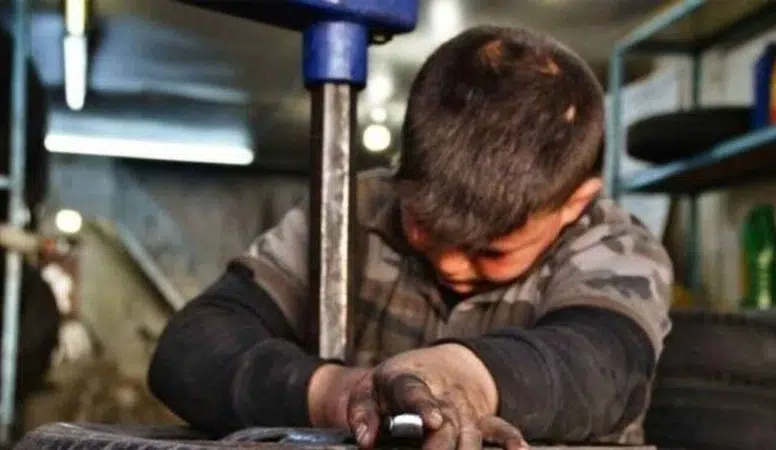 CHP'li Türeli: Çocuk işçilerin ölümü politik tercihin sadık sonucudur