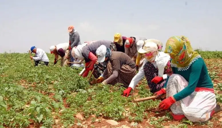 Rahmi Aşkın Türeli’den mevsimlik tarım işçileri çağrısı: Kayıt dışılık sona ermeli
