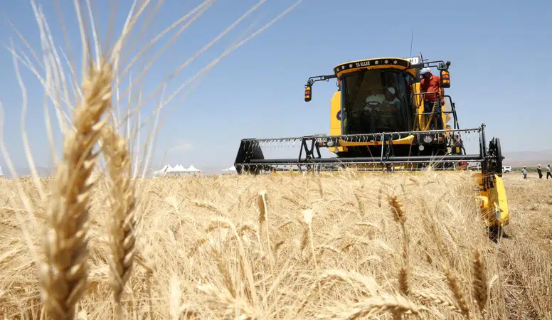 TMO hububat alımı 12,1 milyon tona ulaştı: 170 milyar TL ödendi