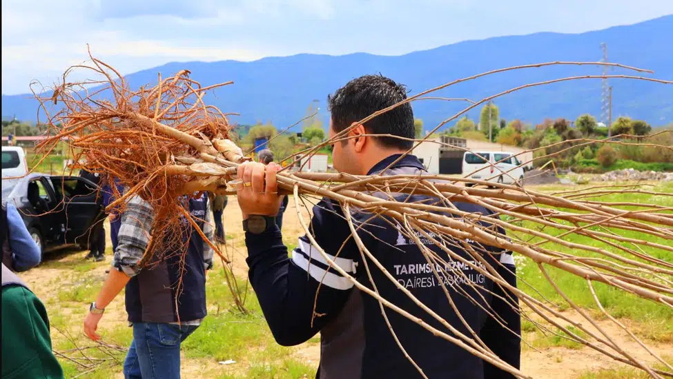 İzmir Büyükşehir’den Beydağlı üreticiye çifte destek: İpekböcekçiliği ve kestane üretimi için yeni adım