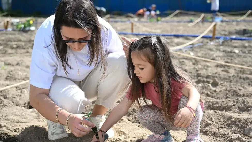 Bornova'da Kadınlar Kent Bostanlarında Üretiyor, Dayanışmayı Yeşertiyor