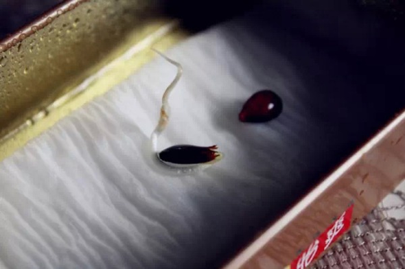 İşte eviniz için pratik çözümler 5