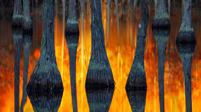 2018'in en iyi manzara fotoğrafları belli oldu 8