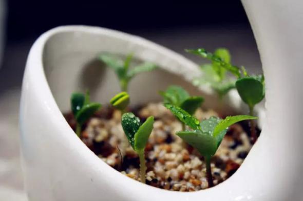 İşte eviniz için pratik çözümler 6