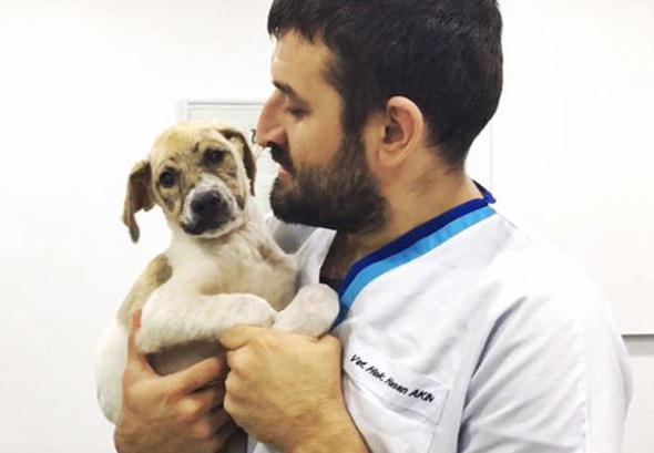Çocuklar ölüme terk etmişti! Son hali inanılmaz 1