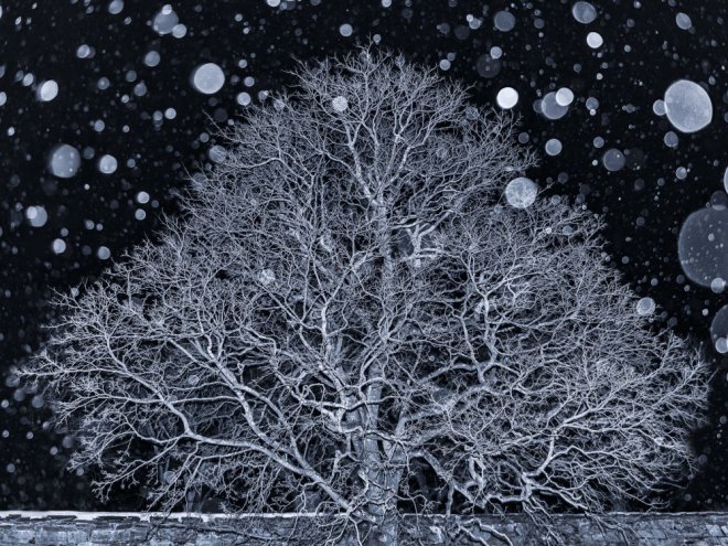 2018'in en iyi manzara fotoğrafları belli oldu 7