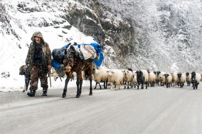 Doğu Karadeniz'de kış güzelliği 2