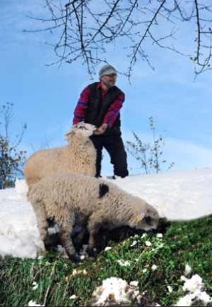 Doğu Karadeniz'de kış güzelliği 9