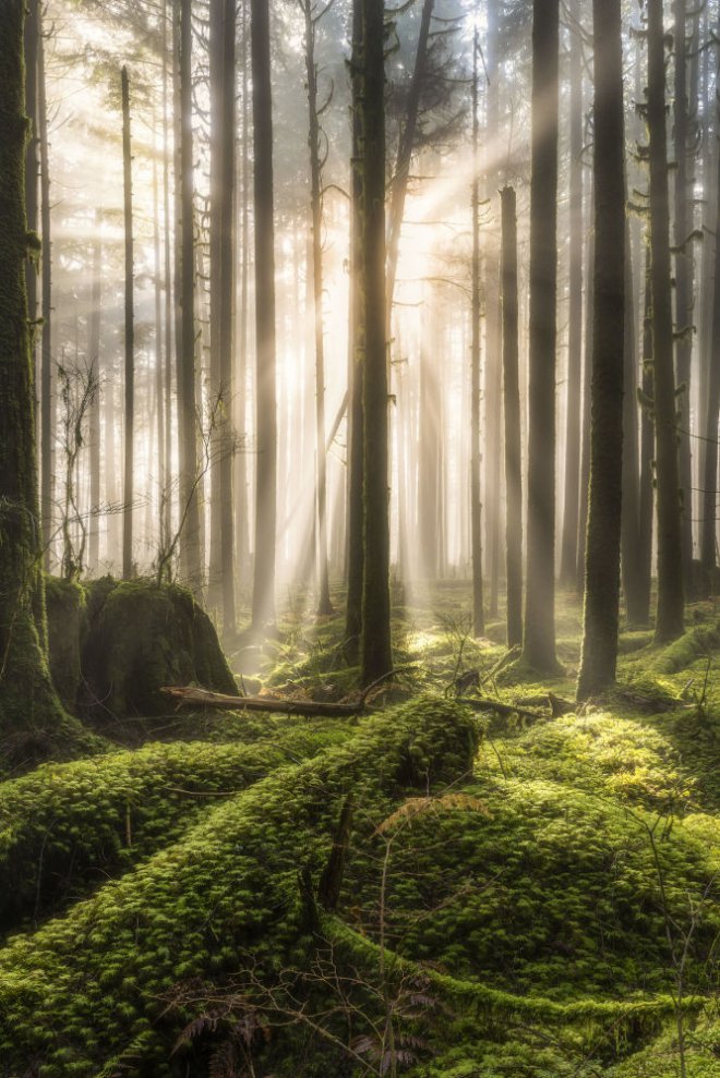 2018'in en iyi manzara fotoğrafları belli oldu 3
