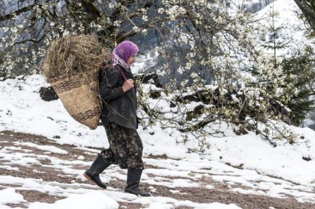 Doğu Karadeniz'de kış güzelliği 8