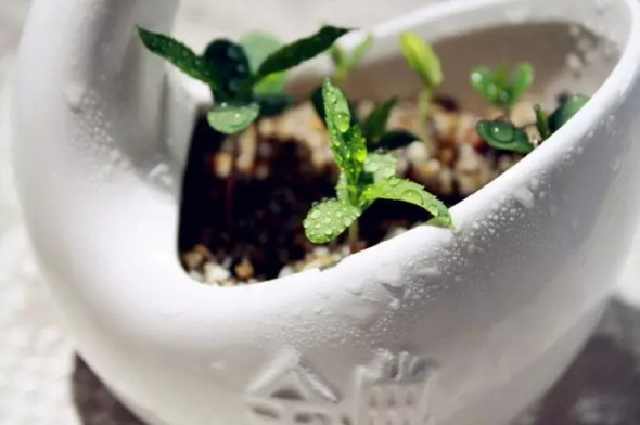 İşte eviniz için pratik çözümler 2