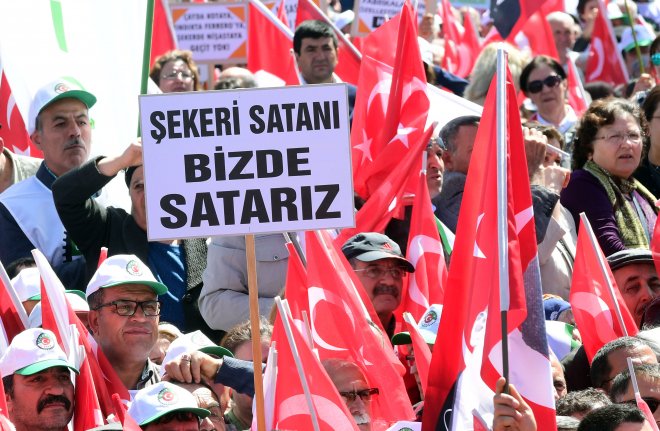 SEKER VATANDIR VATAN SATILMAZ MİTİNGİ 35