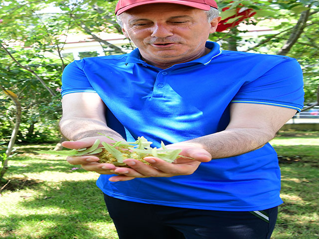 Muharrem İnce arife gününde baba evinde 4