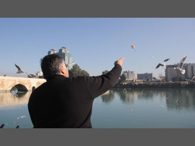 Martıların Ekmek Savaşı Kartpostallık Görüntüler Oluşturdu 1